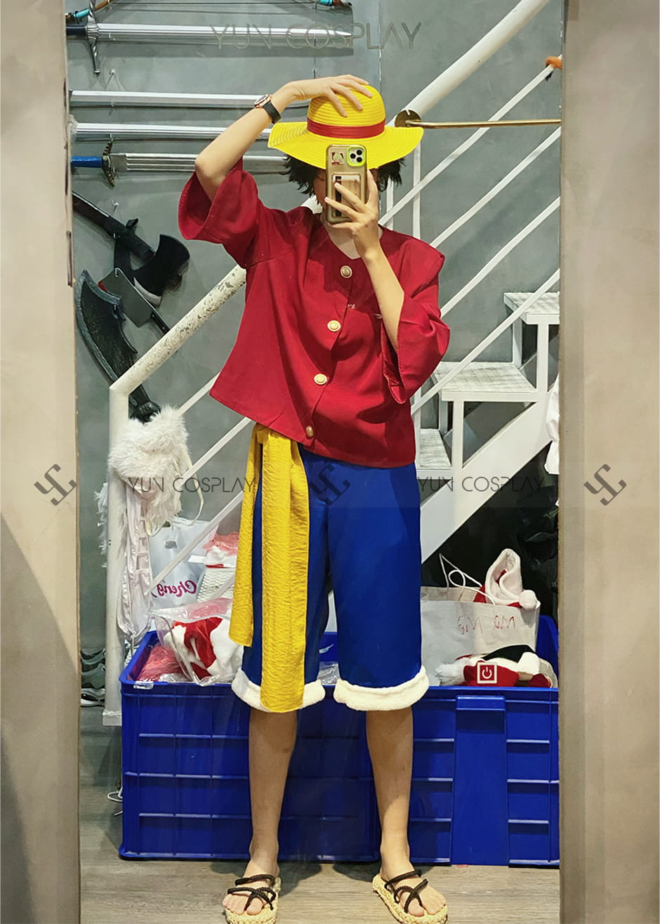 monkey-d-luffy-seasson-9-2